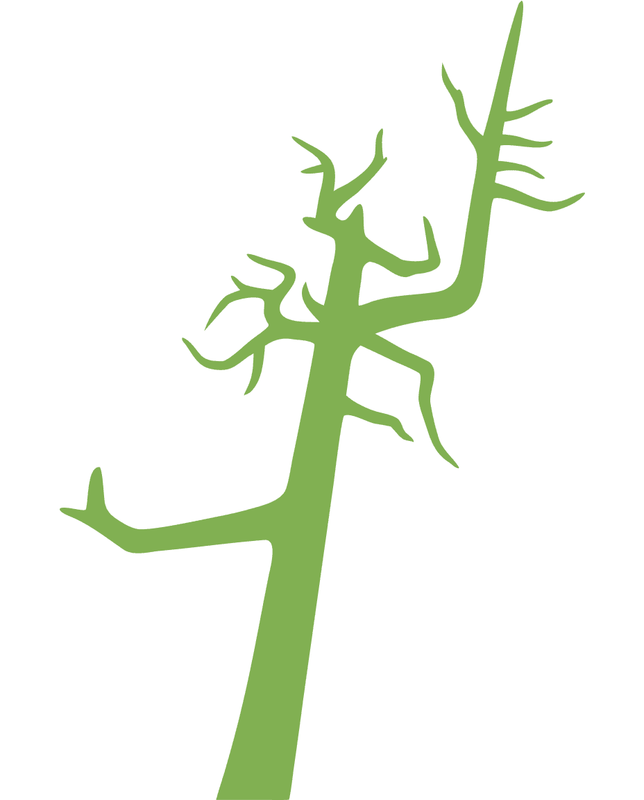 Ghost Tree